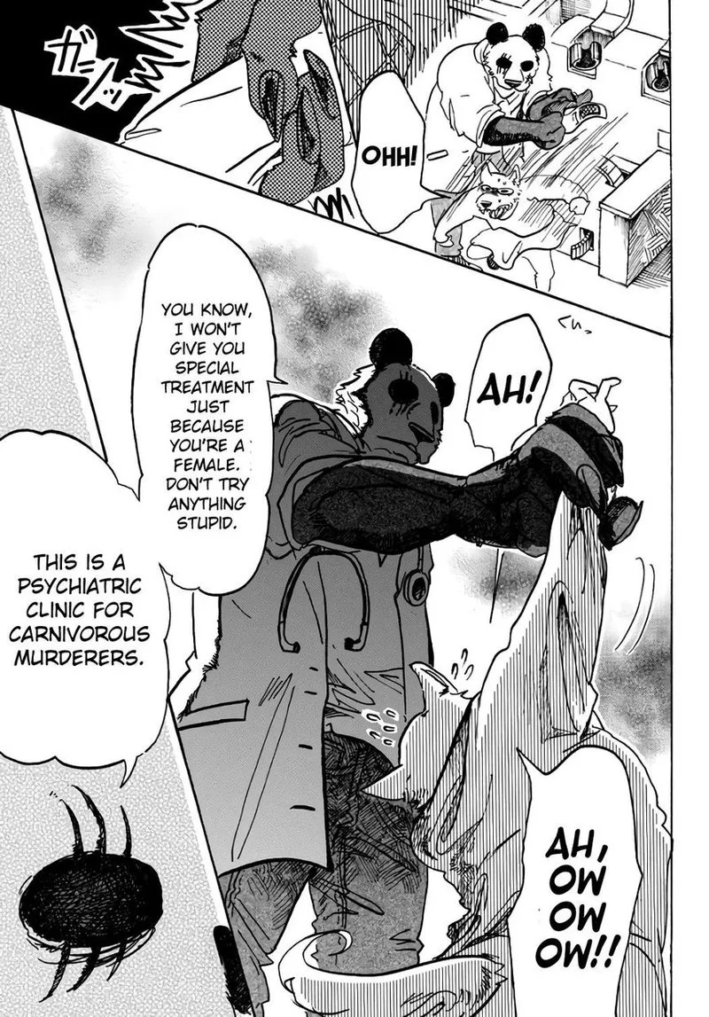 Beastars Chapter 86 page 5
