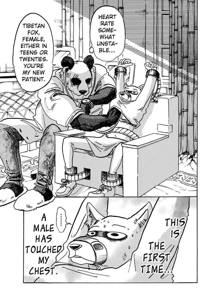 Beastars Chapter 86 page 3
