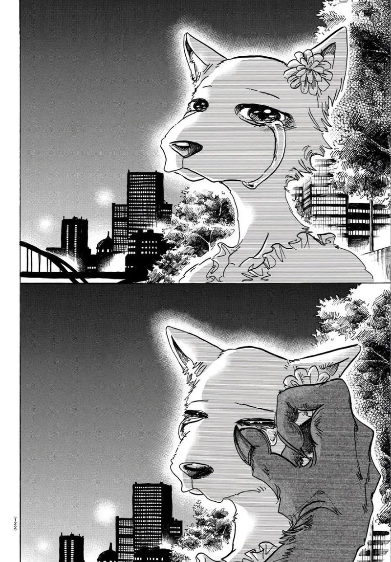 Beastars Chapter 86 page 17