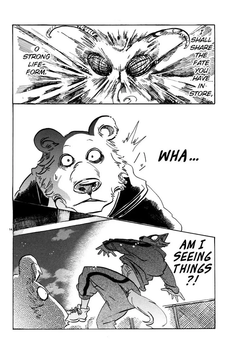 Beastars Chapter 93 page 13