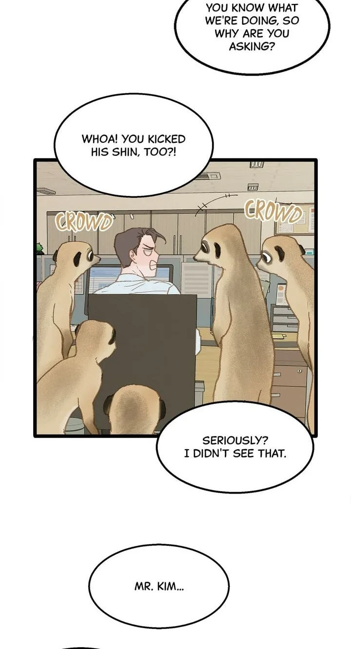 Beta Off Not Dating Chapter 11 page 35