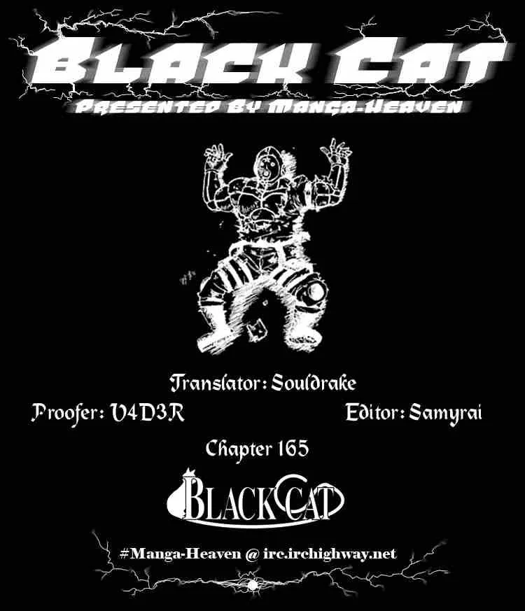 Black Cat Chapter 165 page 18
