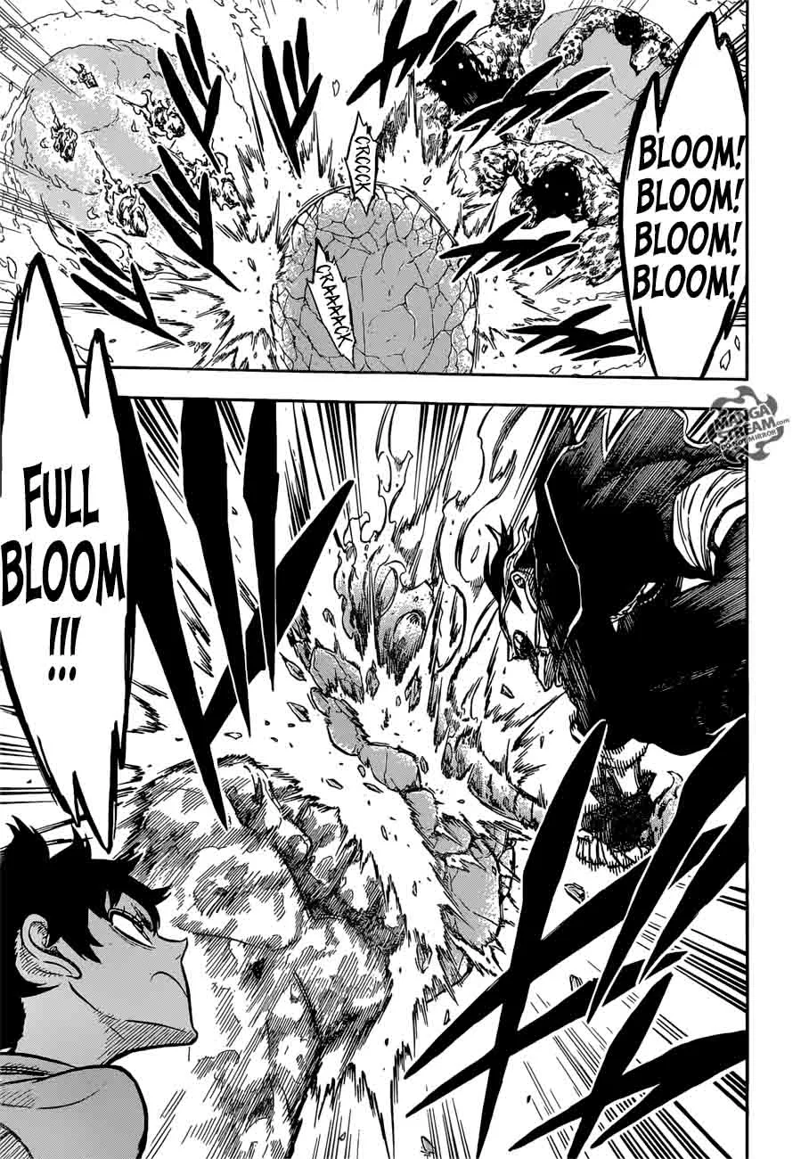 Black Clover Chapter 116 page 14