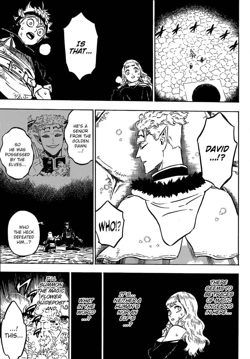 Black Clover Chapter 195 page 5