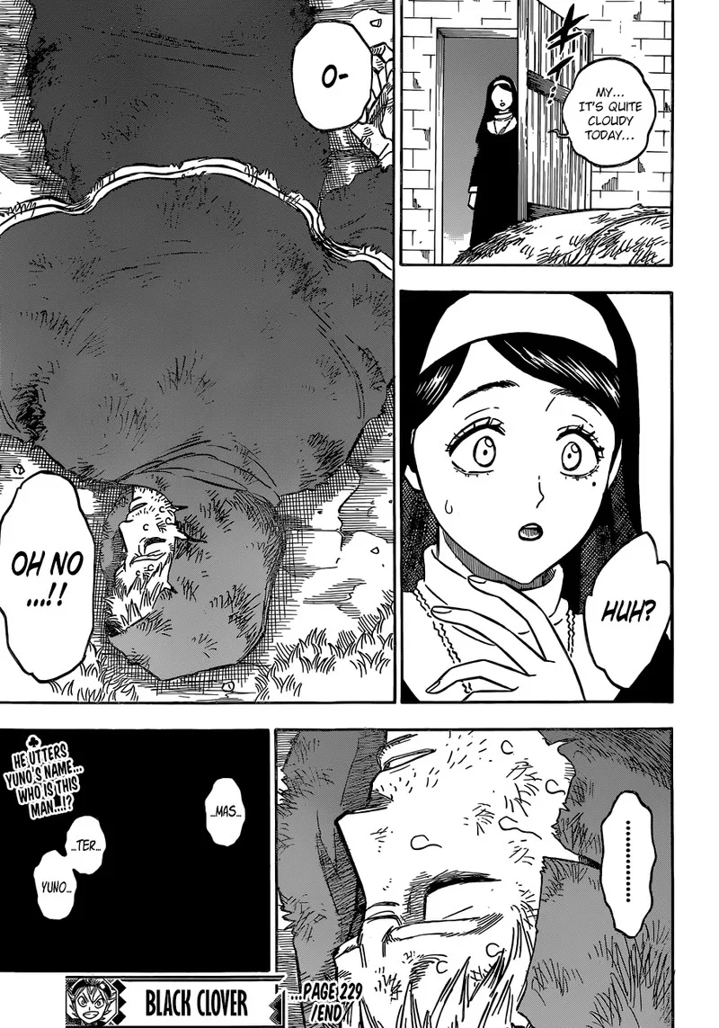 Black Clover Chapter 229 page 15