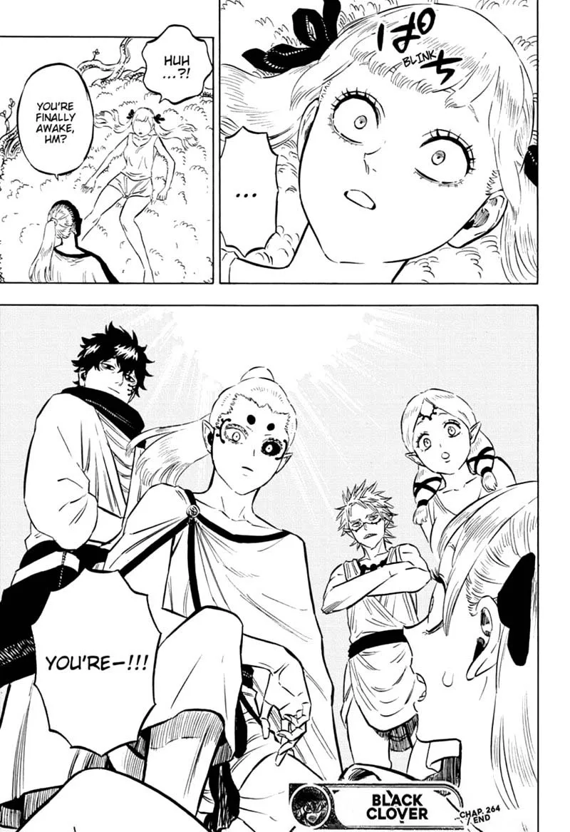 Black Clover Chapter 264 page 15