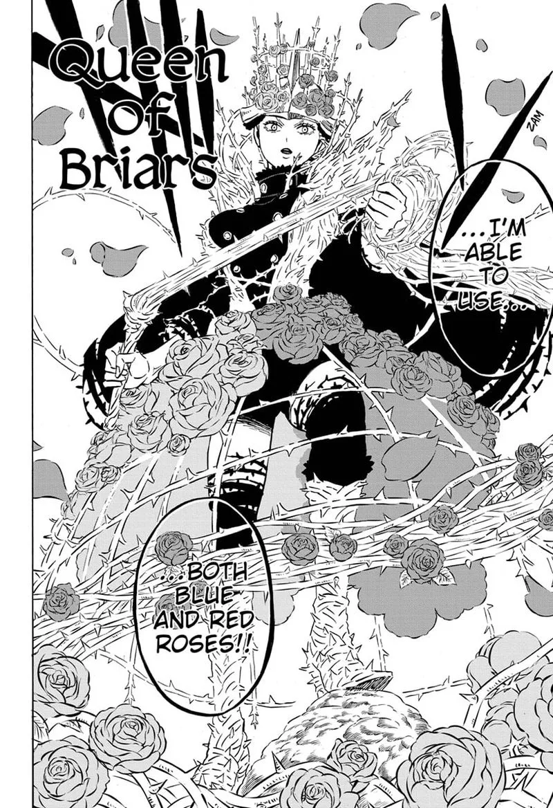 Black Clover Chapter 277 page 13