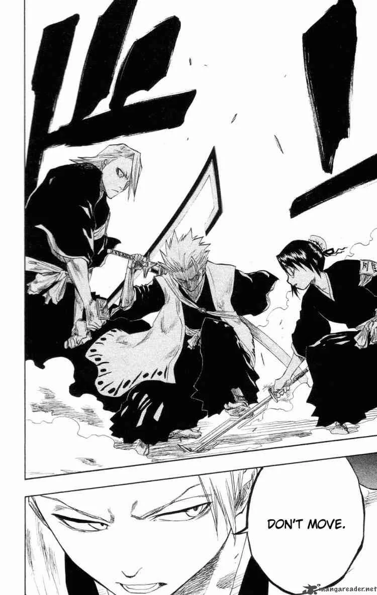 Bleach Chapter 101 page 14