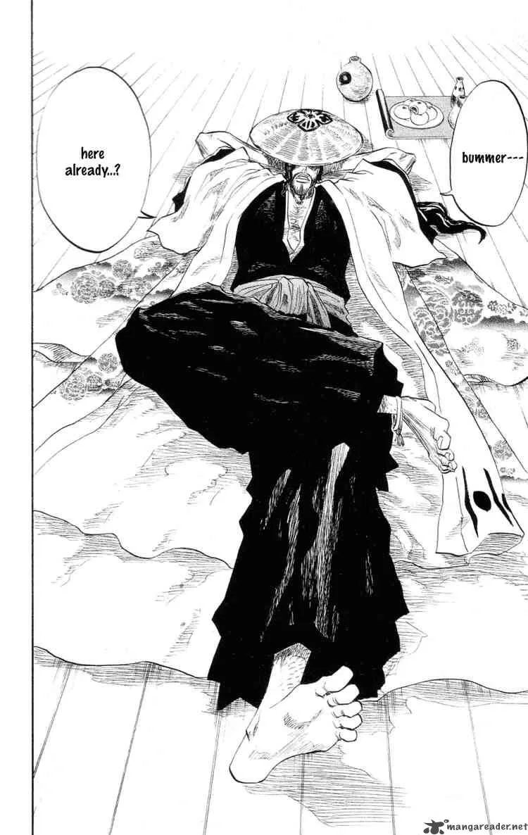 Bleach Chapter 102 page 15