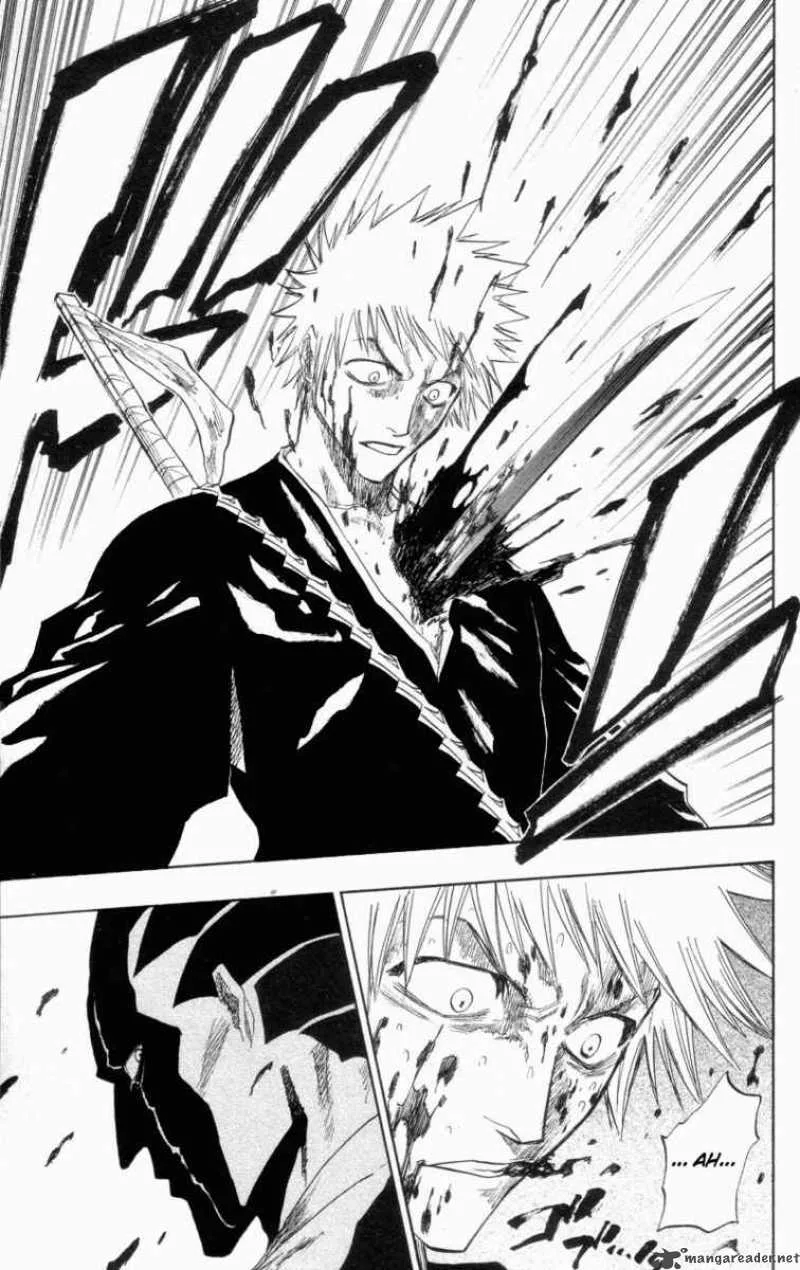 Bleach Chapter 103 page 14