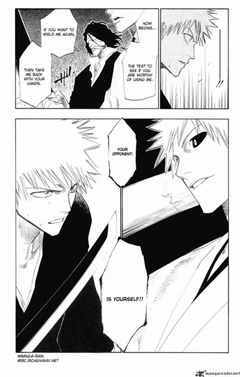 Bleach Chapter 110 page 19