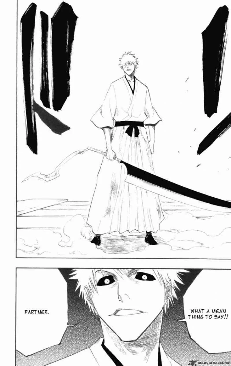 Bleach Chapter 110 page 18