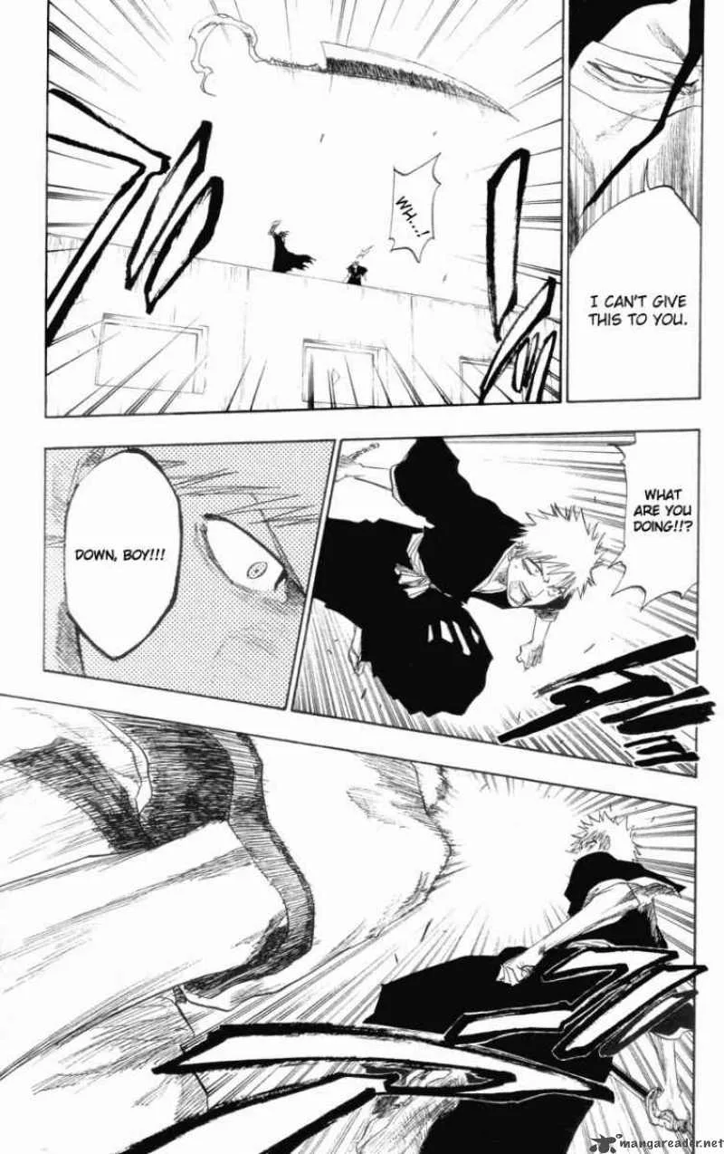 Bleach Chapter 110 page 15