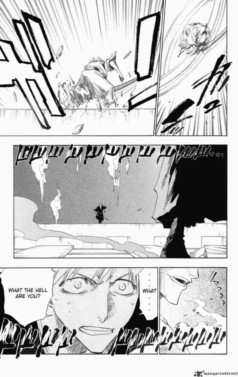 Bleach Chapter 110 page 17