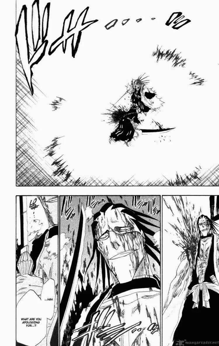 Bleach Chapter 113 page 17