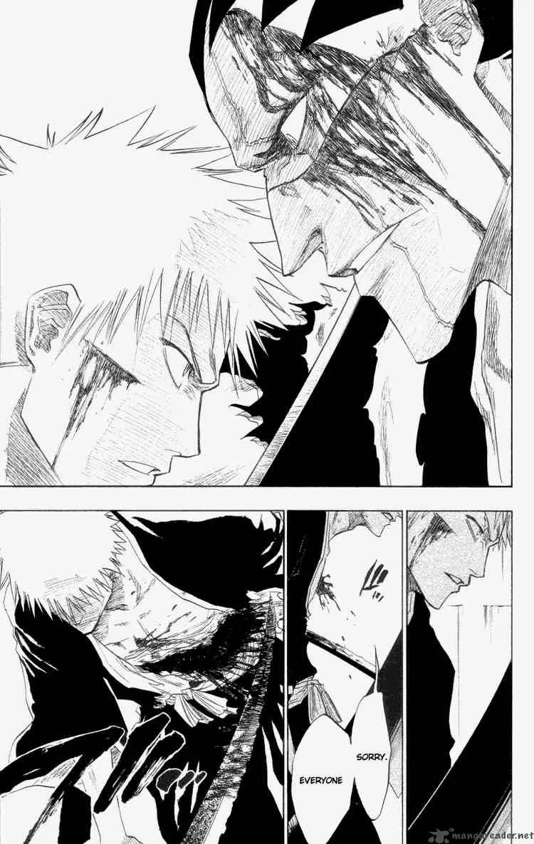 Bleach Chapter 113 page 16