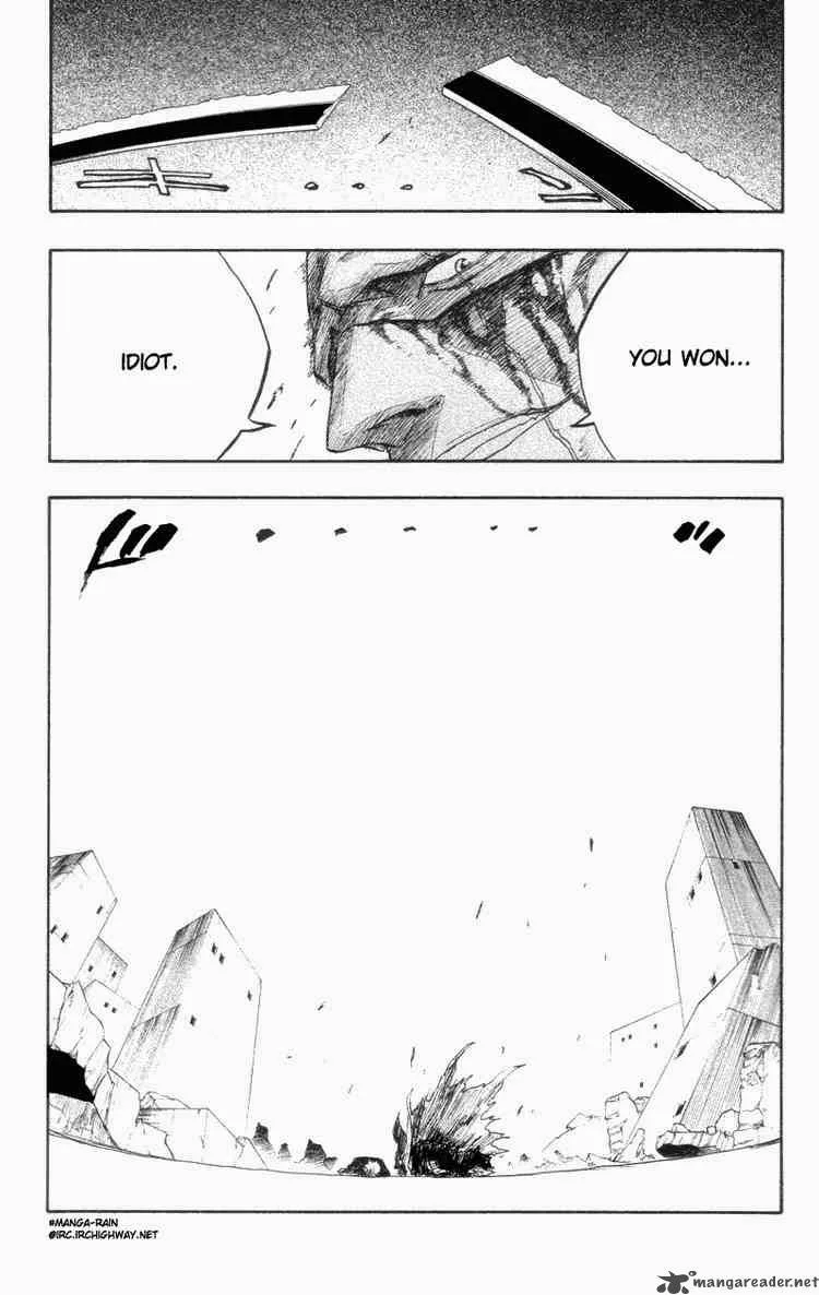 Bleach Chapter 113 page 18