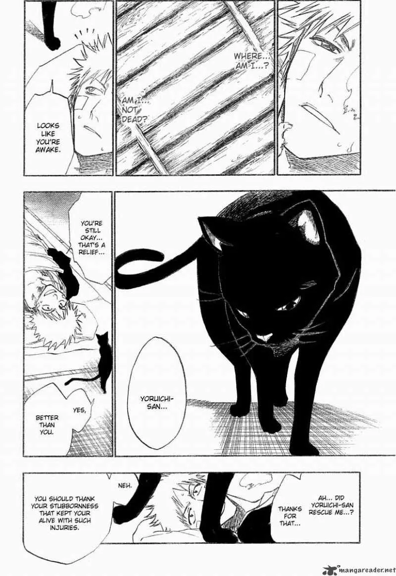 Bleach Chapter 116 page 15