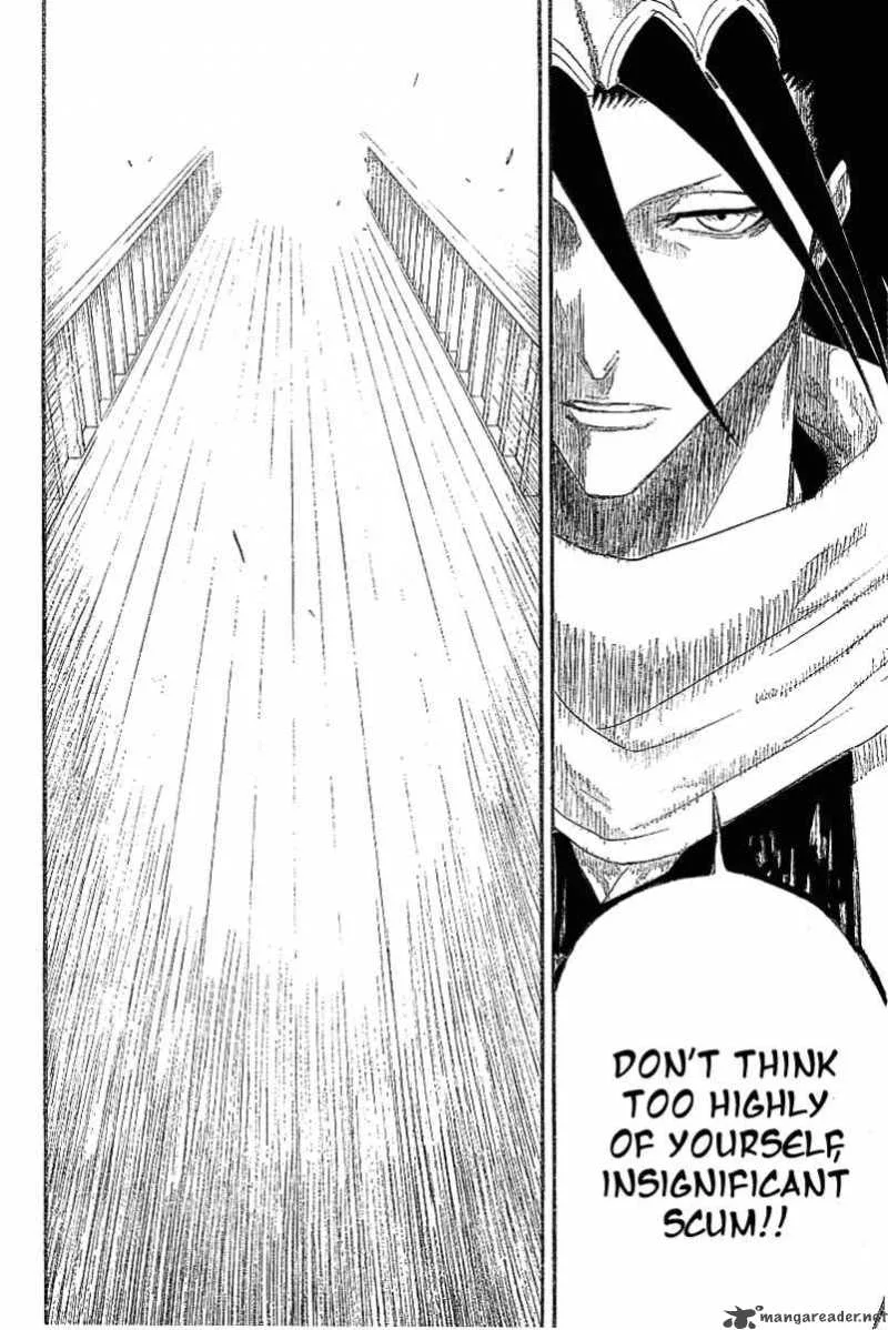 Bleach Chapter 117 page 13