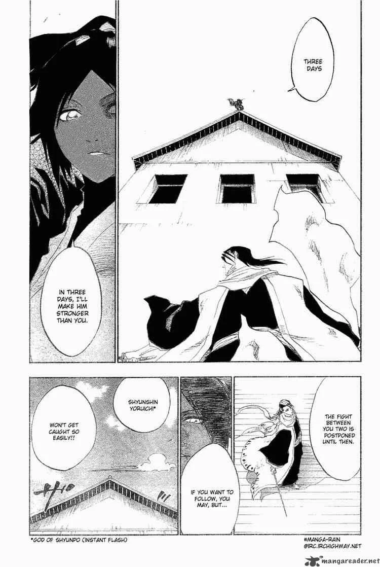 Bleach Chapter 118 page 19