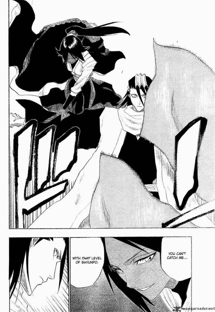 Bleach Chapter 118 page 18