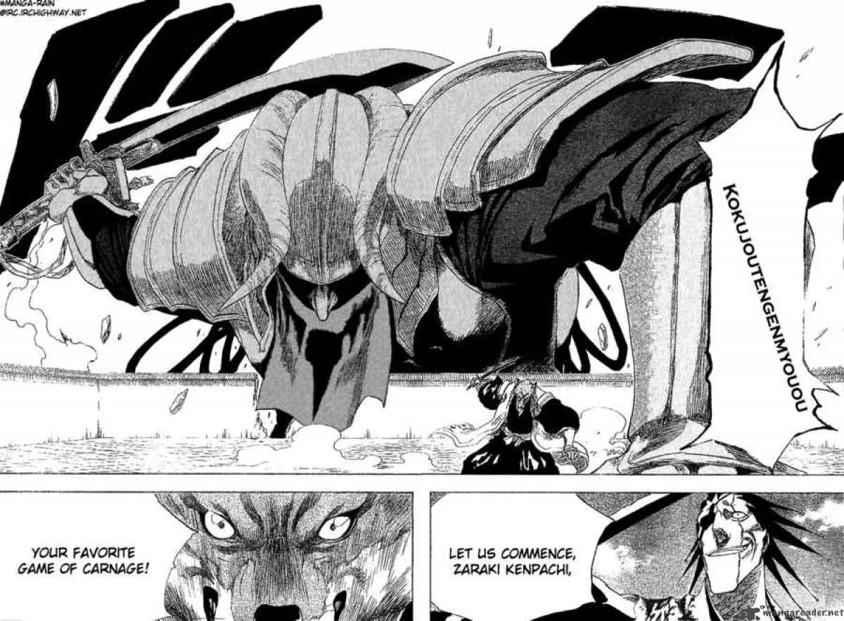 Bleach Chapter 148 page 19