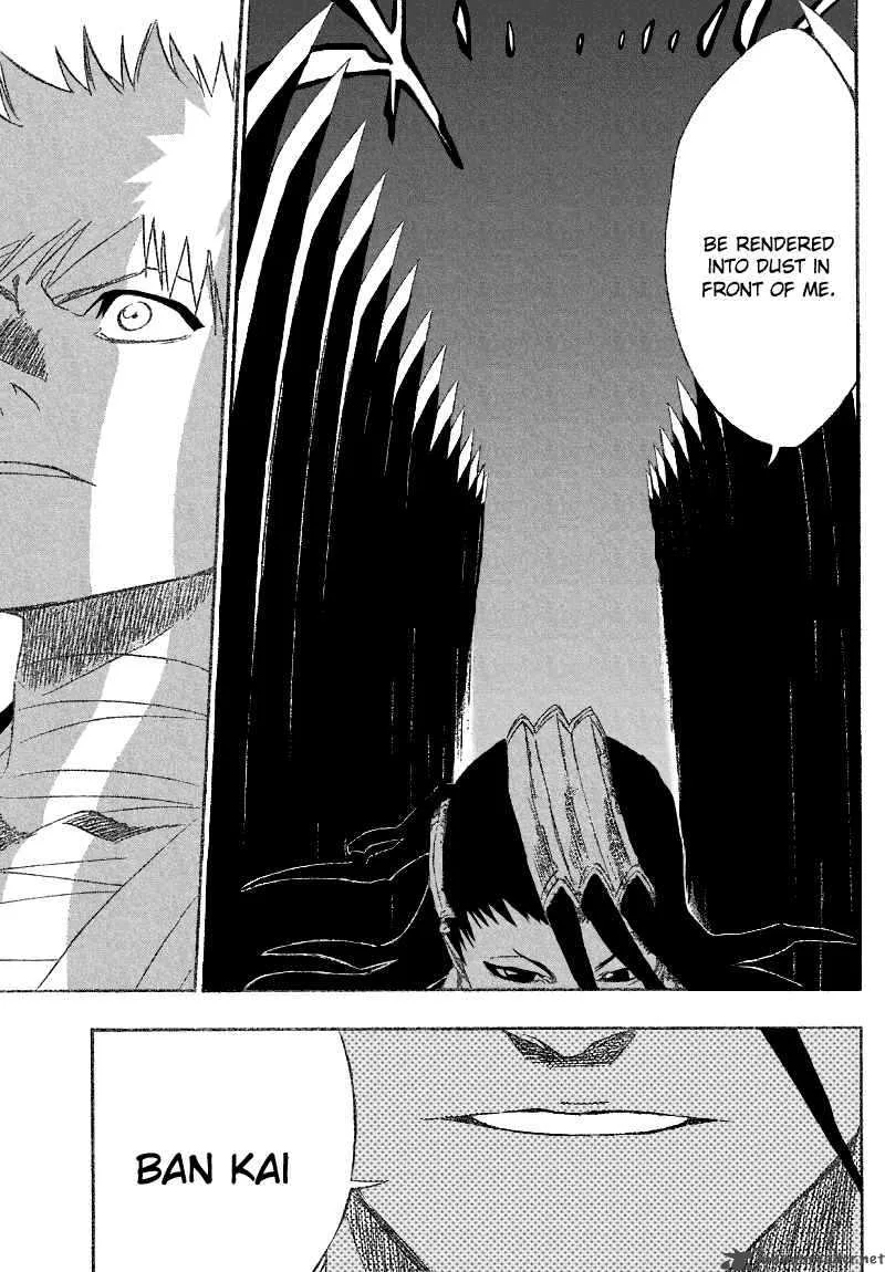 Bleach Chapter 161 page 13