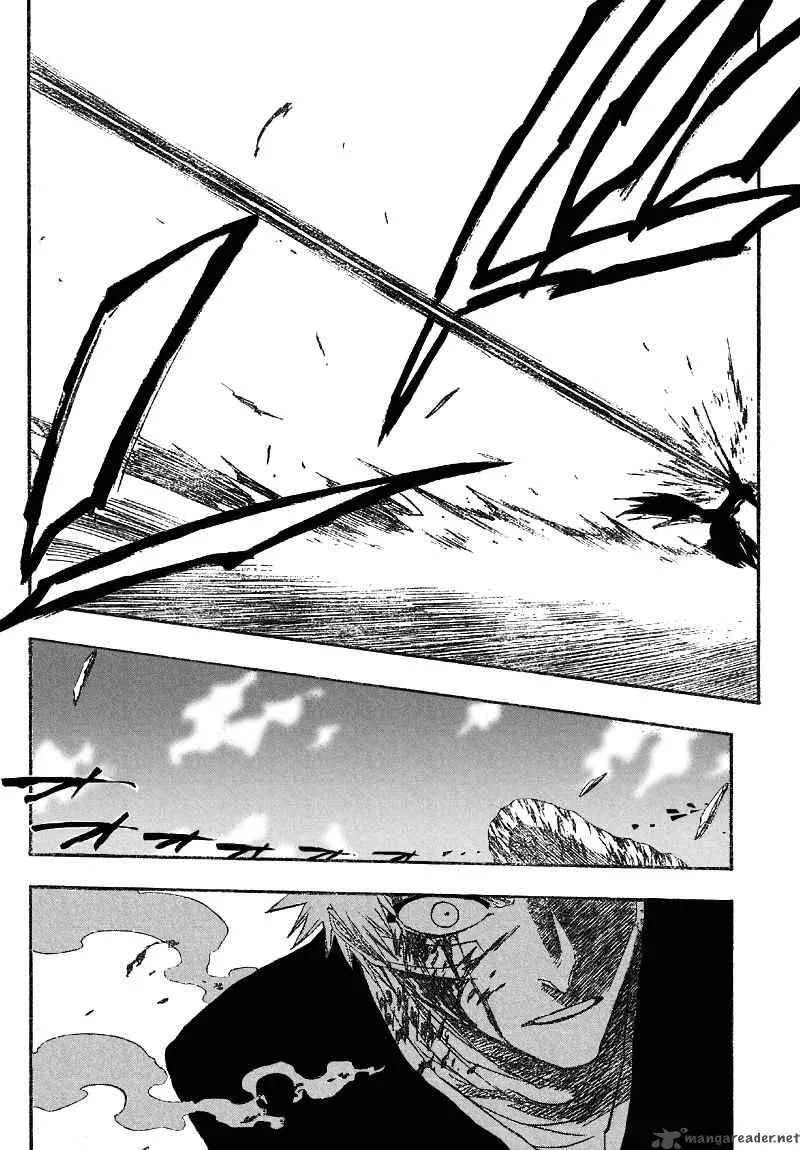 Bleach Chapter 165 page 13