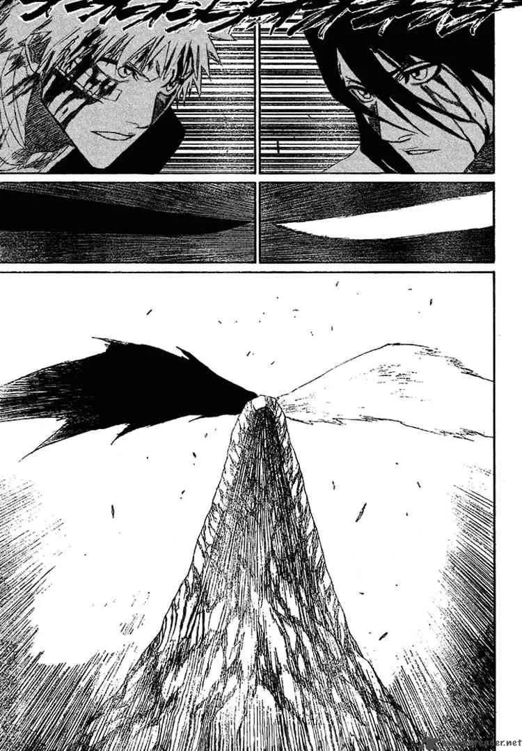 Bleach Chapter 166 page 19
