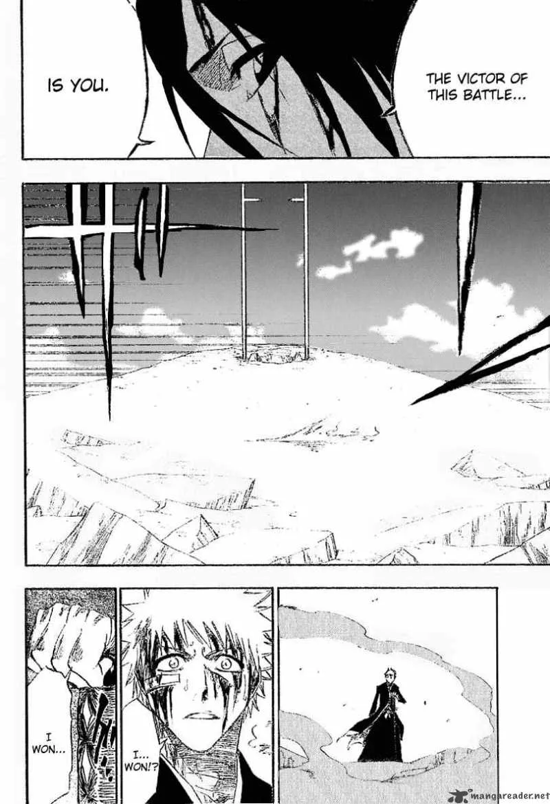 Bleach Chapter 167 page 14