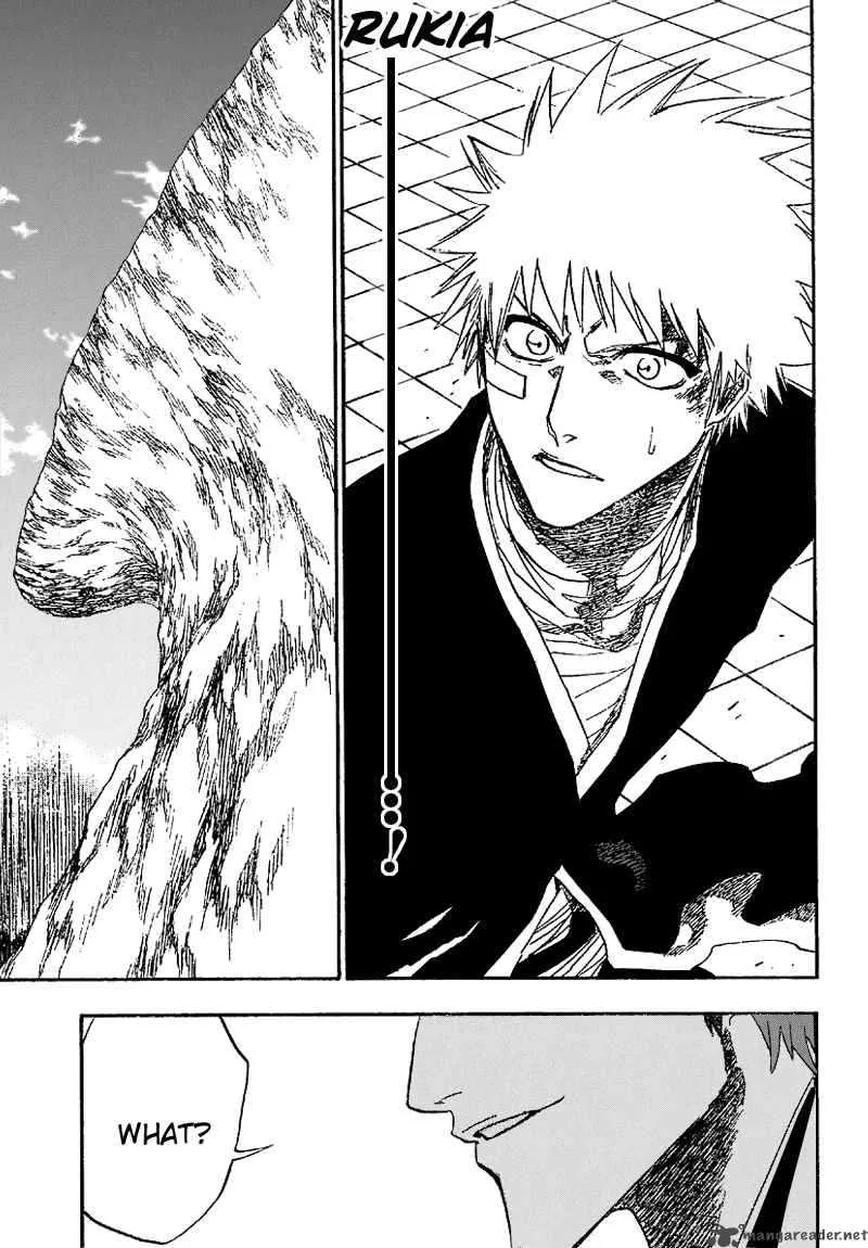 Bleach Chapter 172 page 18