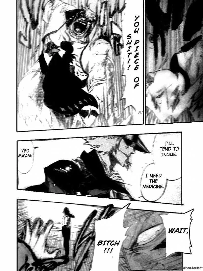 Bleach Chapter 194 page 5
