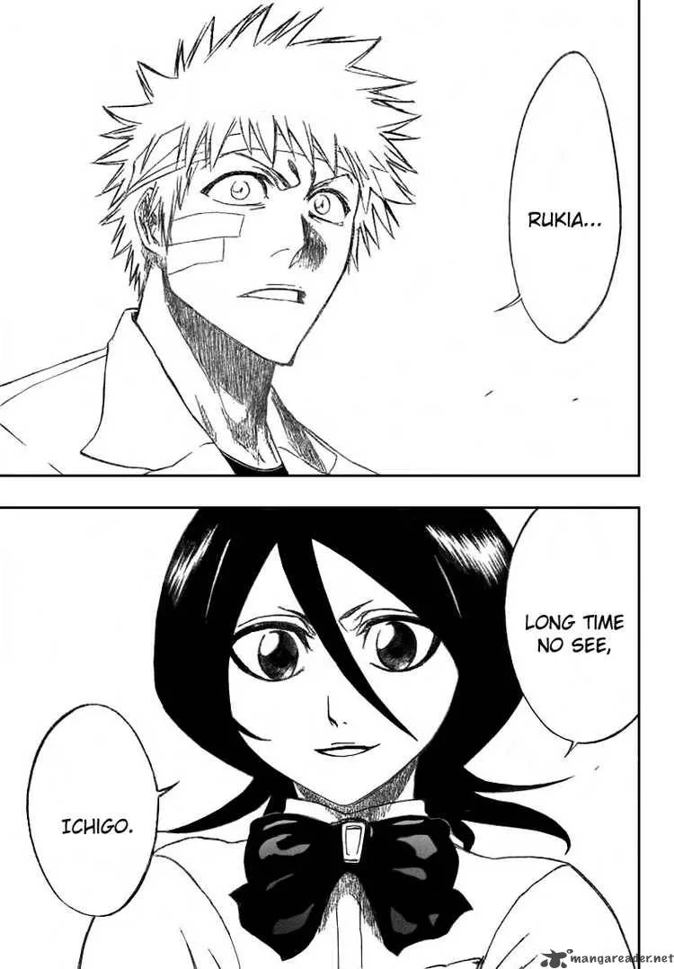 Bleach Chapter 195 page 17
