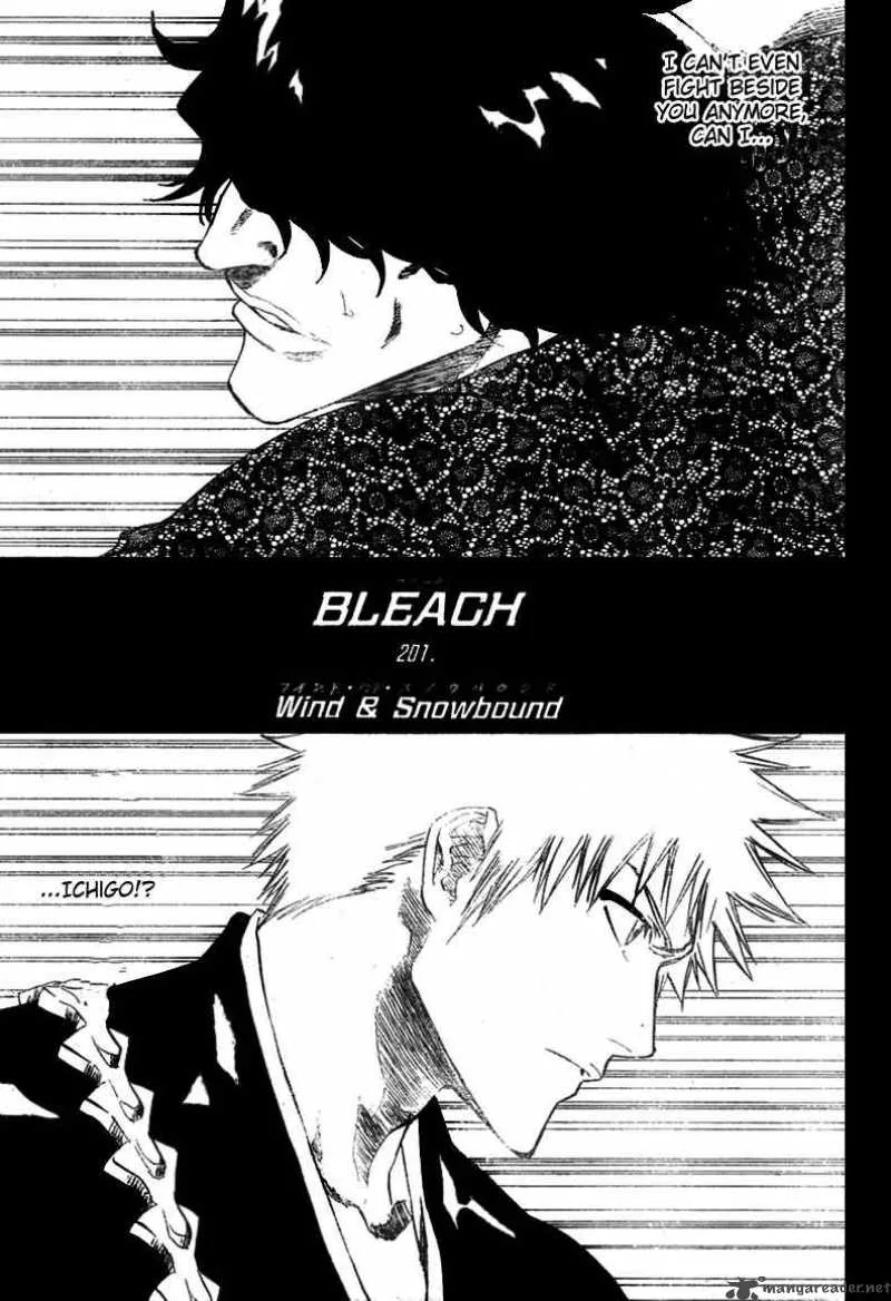 Bleach Chapter 201 page 8