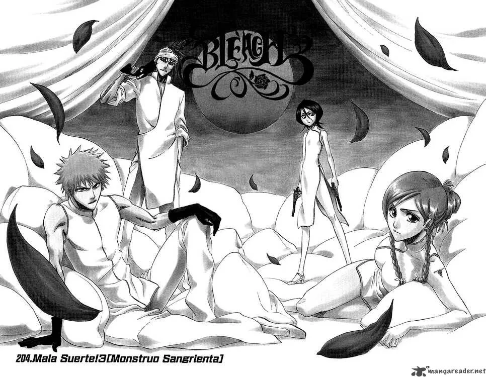Bleach Chapter 204 page 2