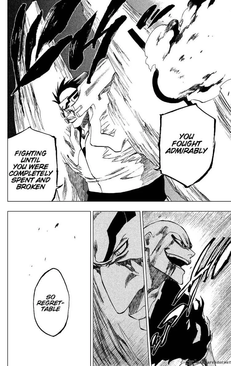 Bleach Chapter 204 page 19