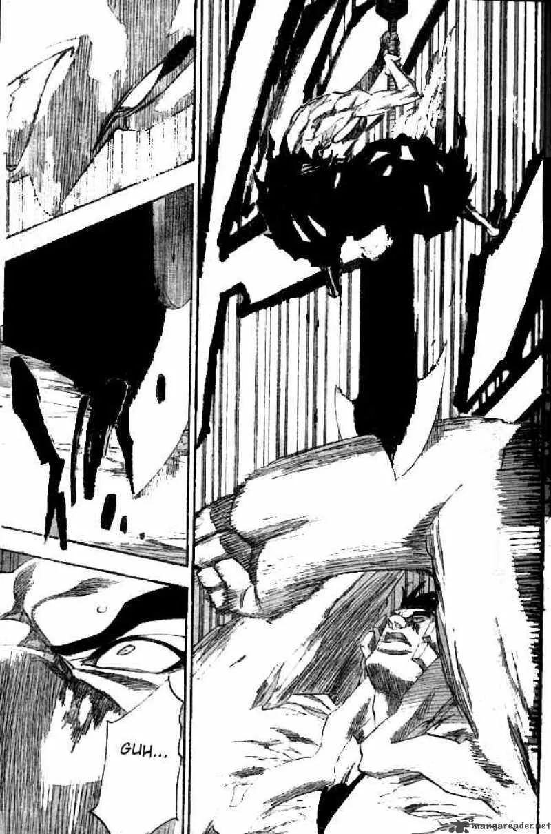 Bleach Chapter 205 page 13