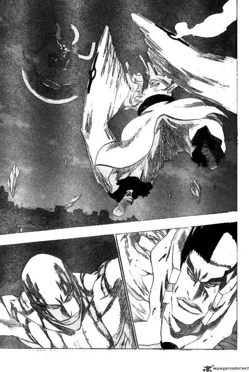 Bleach Chapter 205 page 9