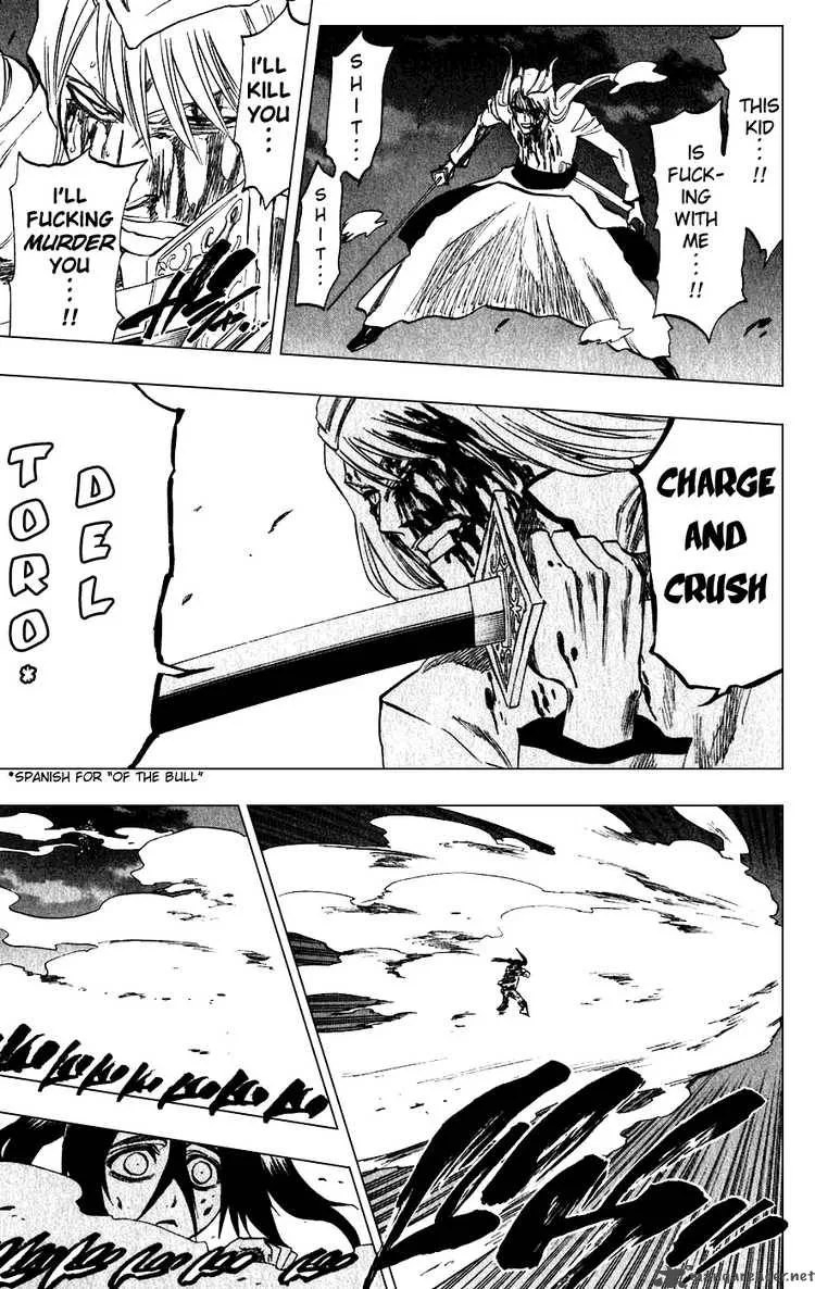 Bleach Chapter 207 page 17