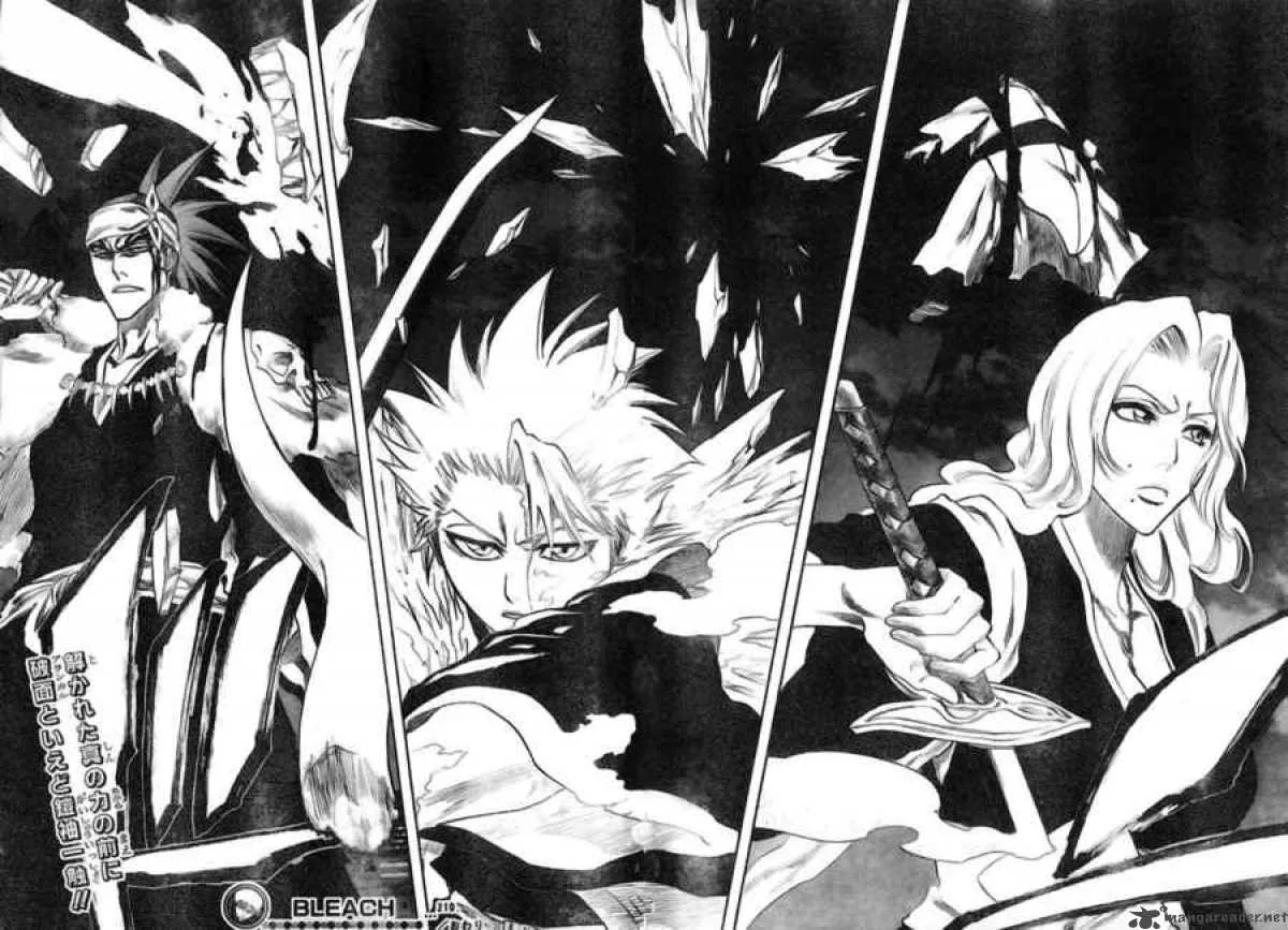 Bleach Chapter 210 page 18