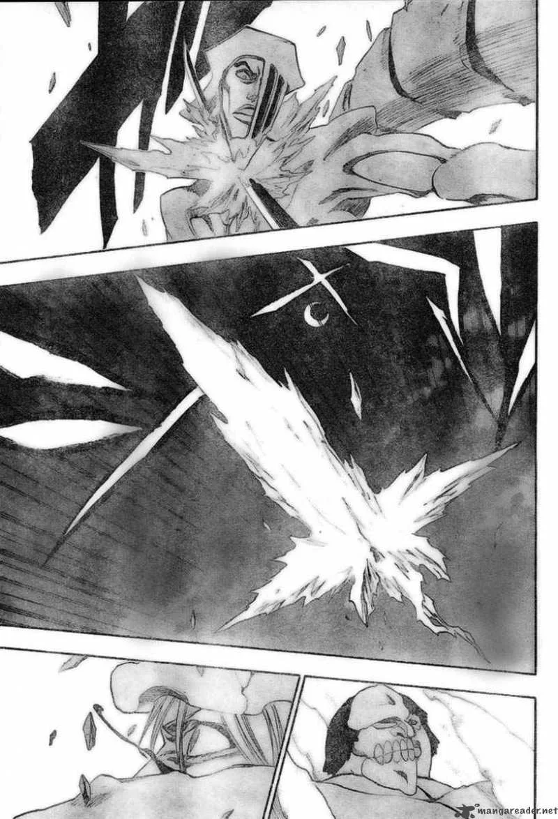 Bleach Chapter 210 page 17