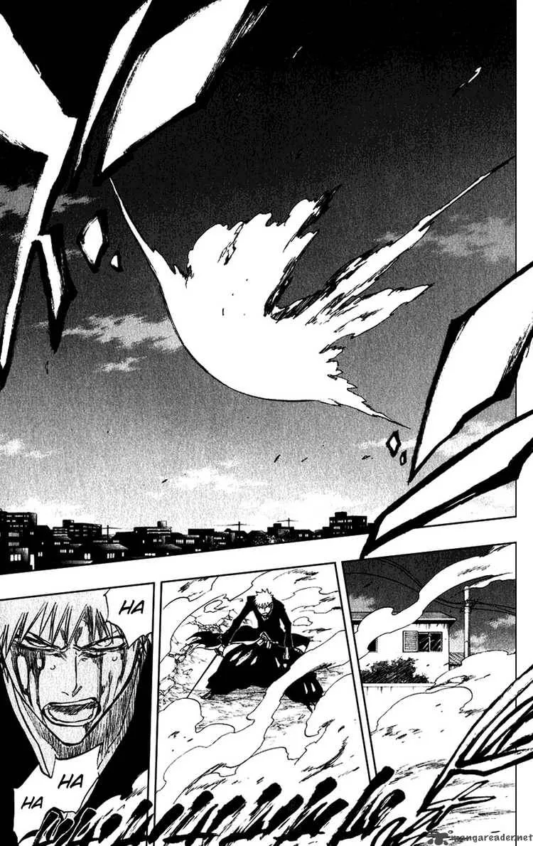 Bleach Chapter 211 page 14