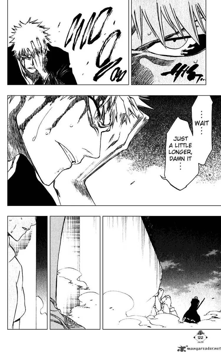 Bleach Chapter 211 page 17