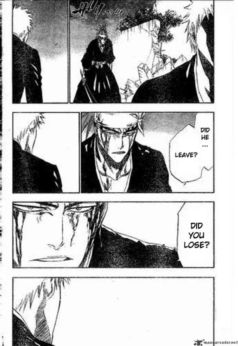 Bleach Chapter 212 page 17