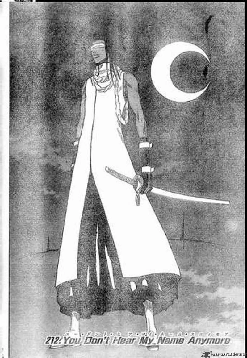 Bleach Chapter 212 page 3