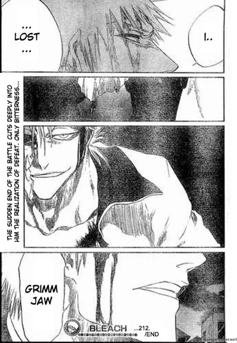 Bleach Chapter 212 page 20