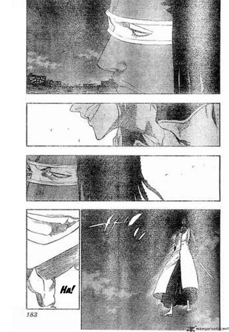 Bleach Chapter 212 page 4