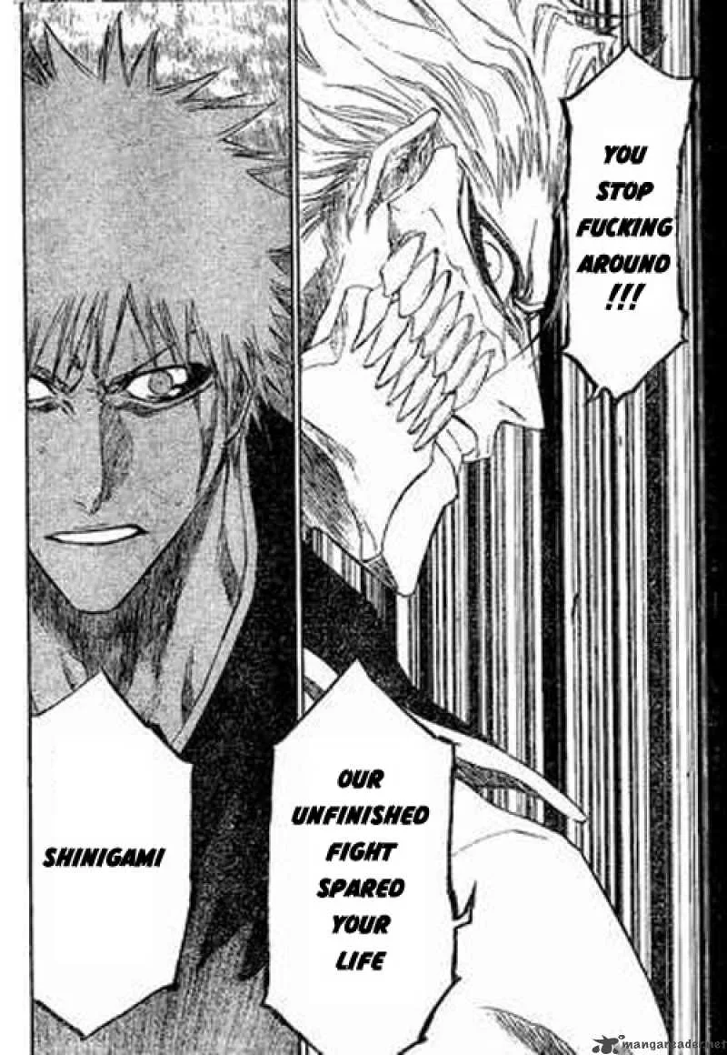 Bleach Chapter 212 page 13