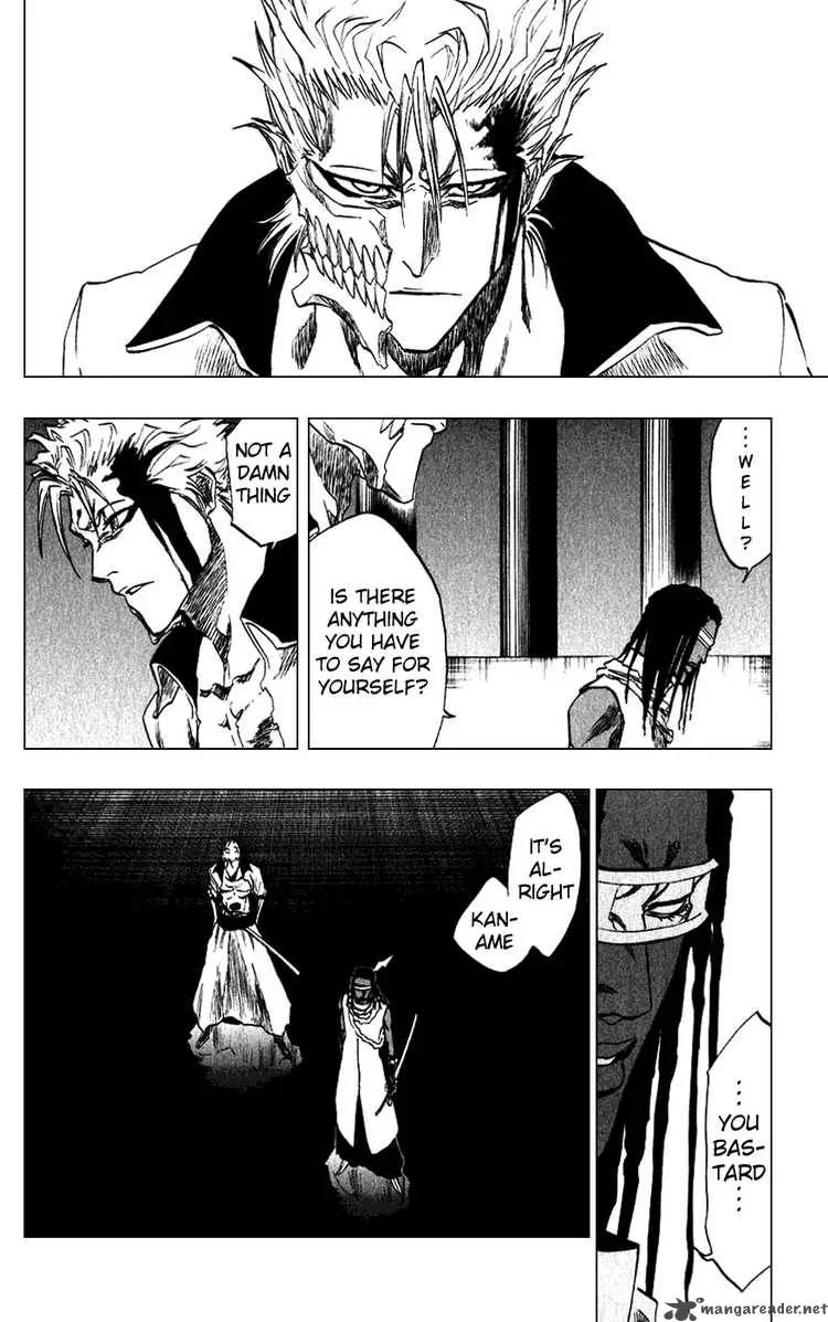 Bleach Chapter 213 page 10