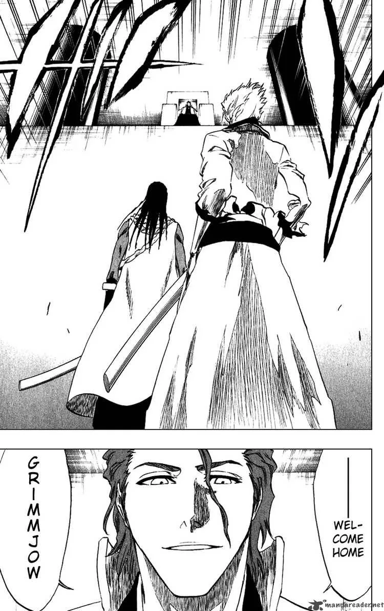 Bleach Chapter 213 page 9